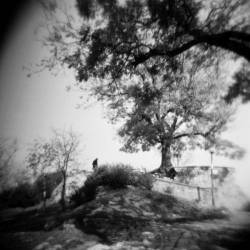 Holy Grove : Demo 2012